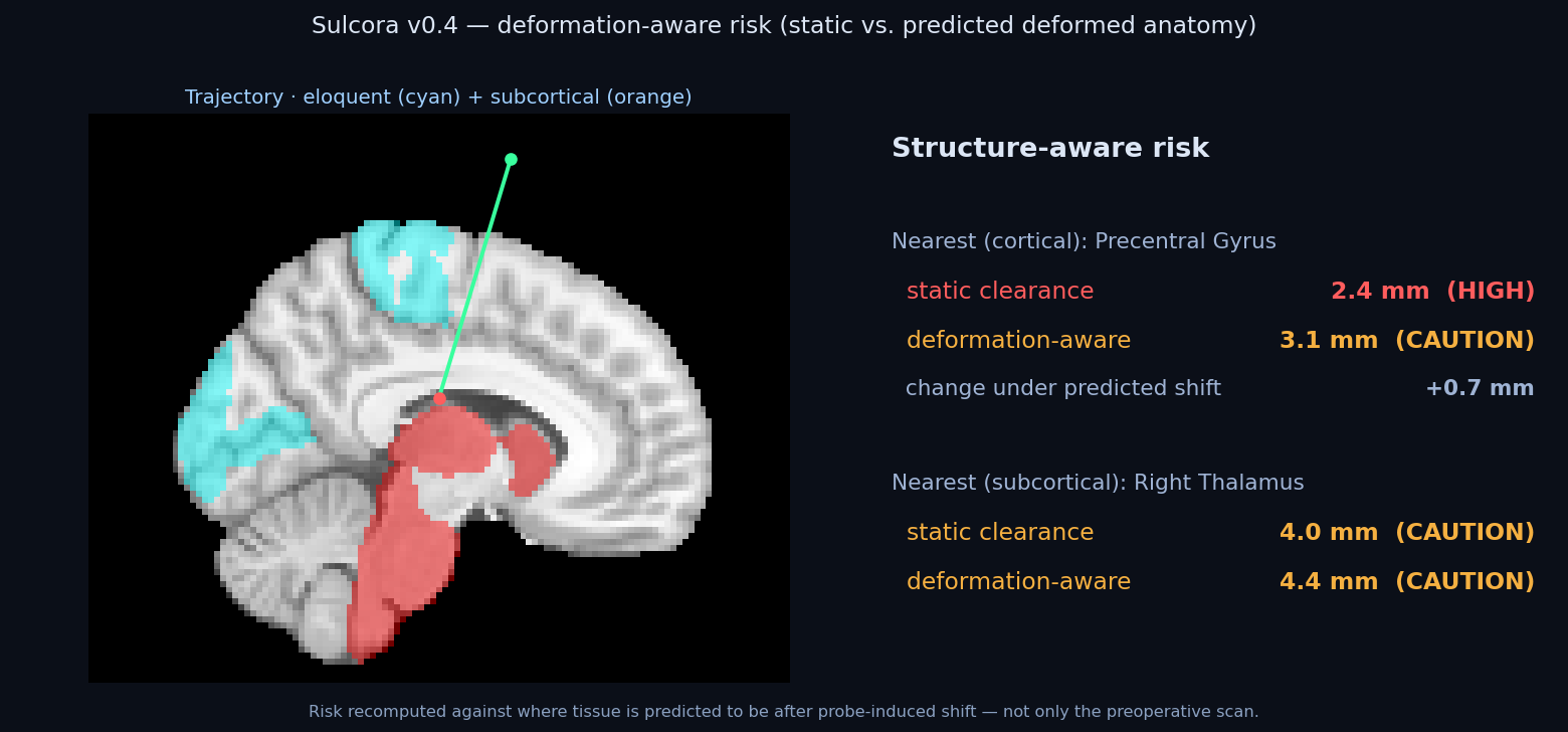Deformation-aware risk